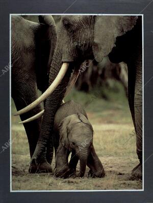 BLANCO Y NEGRO MADRID 13-03-1994 página 59