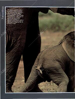 BLANCO Y NEGRO MADRID 13-03-1994 página 60