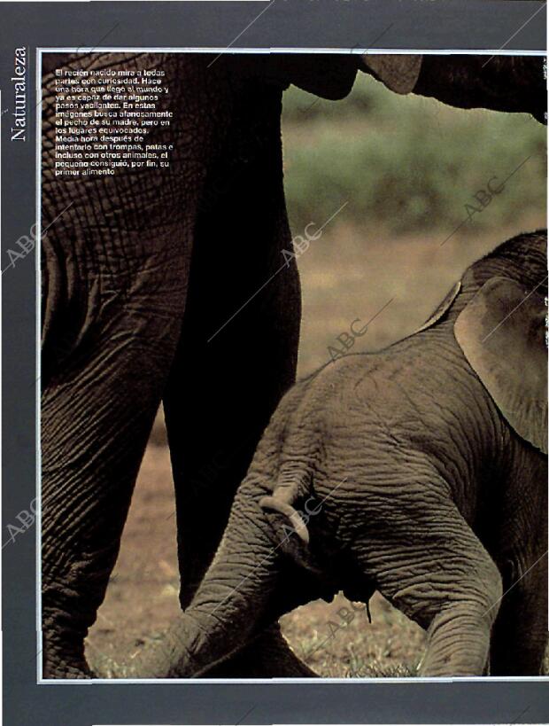 BLANCO Y NEGRO MADRID 13-03-1994 página 60