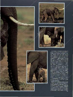 BLANCO Y NEGRO MADRID 13-03-1994 página 61