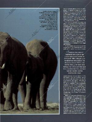 BLANCO Y NEGRO MADRID 13-03-1994 página 63