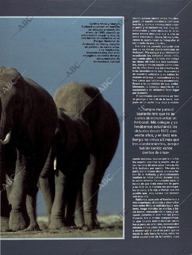 BLANCO Y NEGRO MADRID 13-03-1994 página 63