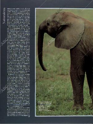 BLANCO Y NEGRO MADRID 13-03-1994 página 64