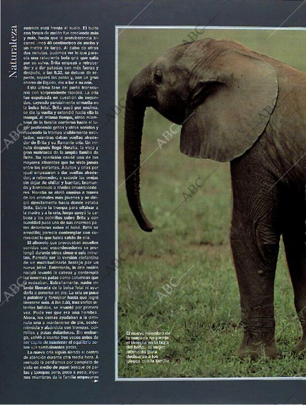 BLANCO Y NEGRO MADRID 13-03-1994 página 64