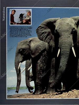 BLANCO Y NEGRO MADRID 13-03-1994 página 66