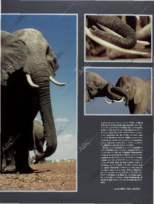 BLANCO Y NEGRO MADRID 13-03-1994 página 67