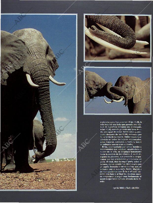 BLANCO Y NEGRO MADRID 13-03-1994 página 67