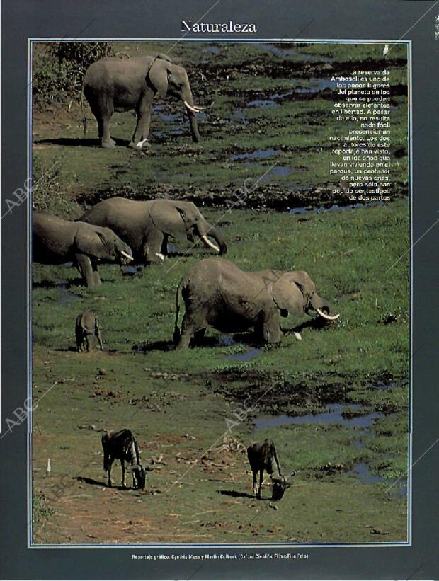 BLANCO Y NEGRO MADRID 13-03-1994 página 68