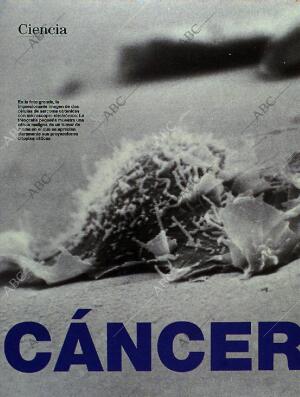 BLANCO Y NEGRO MADRID 01-05-1994 página 28