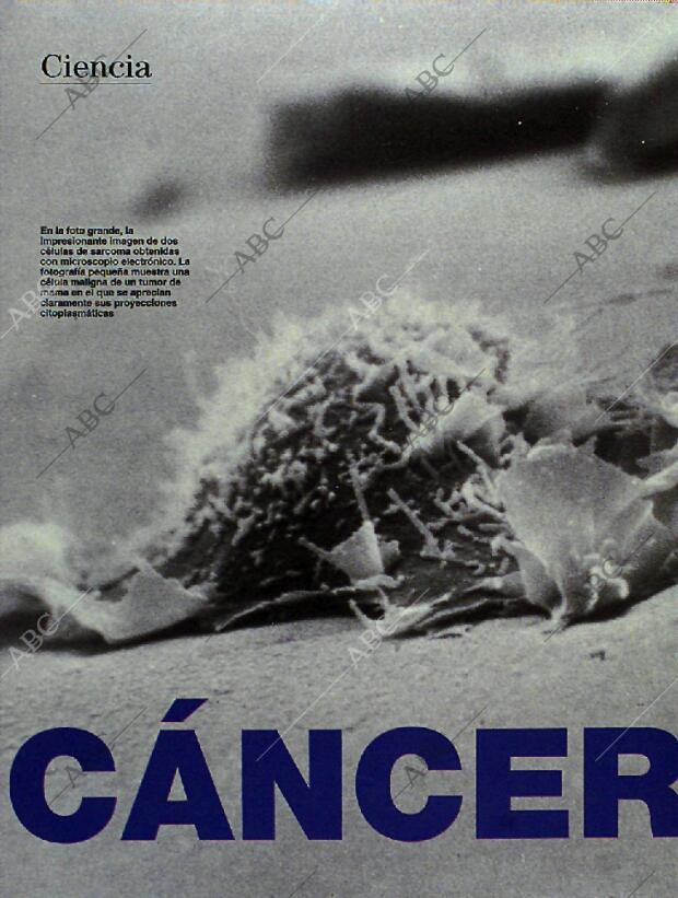 BLANCO Y NEGRO MADRID 01-05-1994 página 28