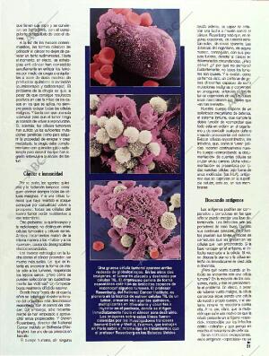 BLANCO Y NEGRO MADRID 01-05-1994 página 31