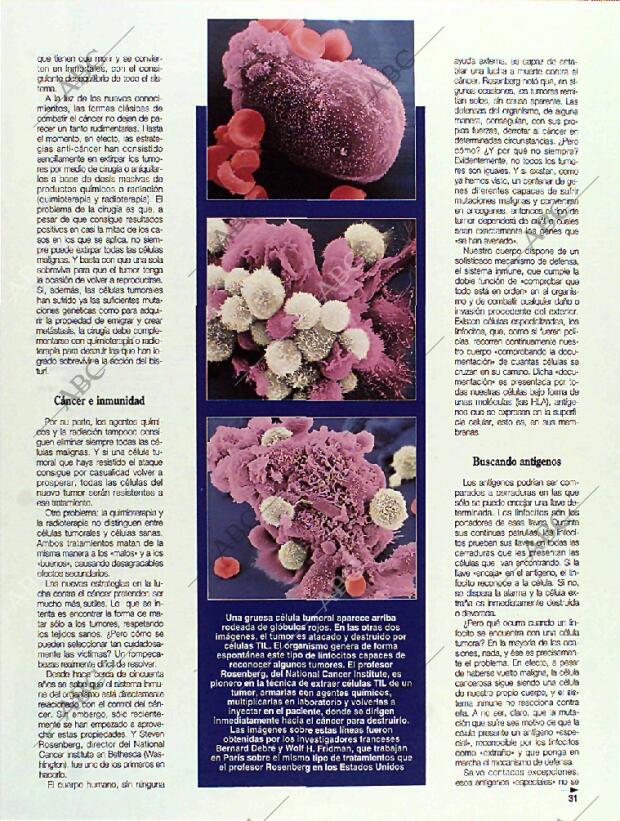 BLANCO Y NEGRO MADRID 01-05-1994 página 31