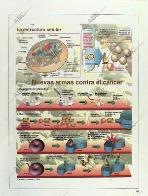 BLANCO Y NEGRO MADRID 01-05-1994 página 33