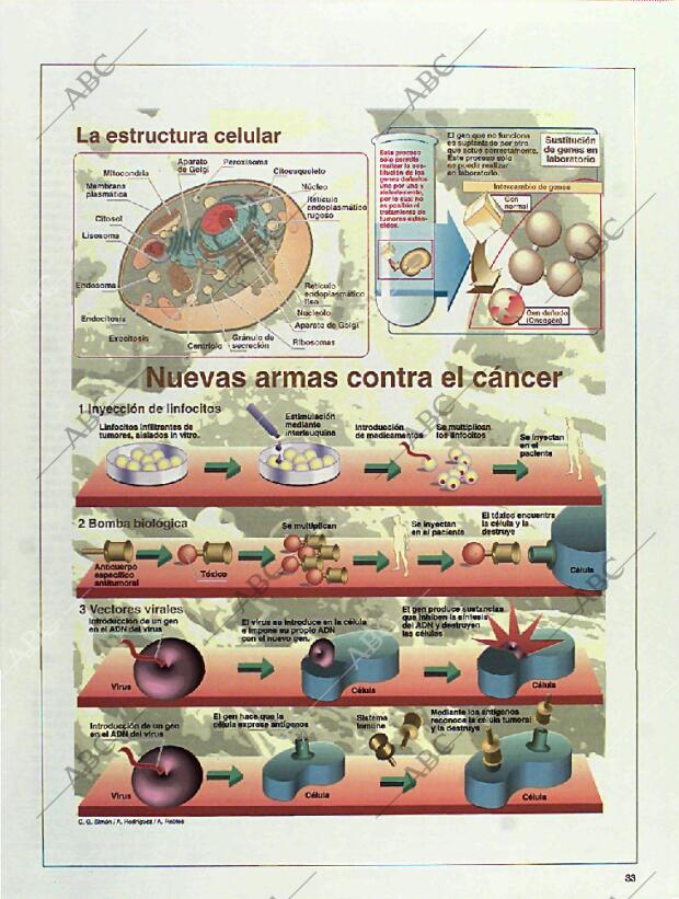 BLANCO Y NEGRO MADRID 01-05-1994 página 33