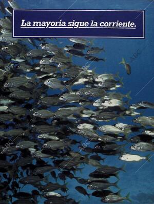 BLANCO Y NEGRO MADRID 05-06-1994 página 27