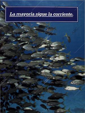 BLANCO Y NEGRO MADRID 26-06-1994 página 13