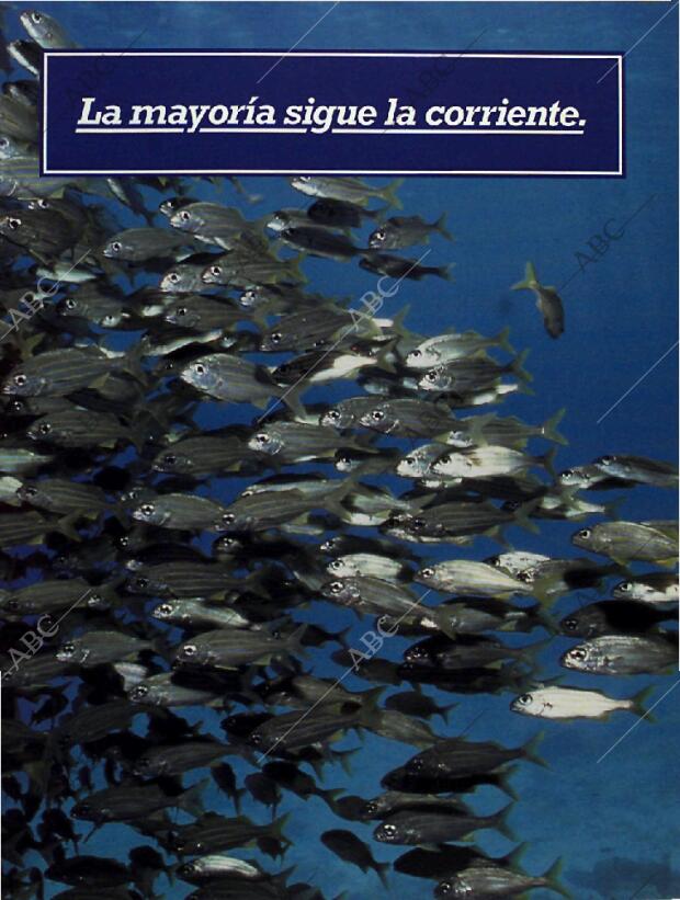 BLANCO Y NEGRO MADRID 26-06-1994 página 13