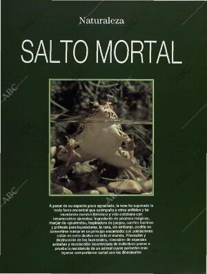 BLANCO Y NEGRO MADRID 26-06-1994 página 55