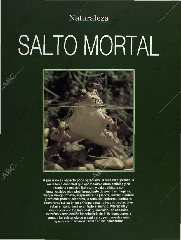 BLANCO Y NEGRO MADRID 26-06-1994 página 55