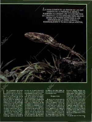 BLANCO Y NEGRO MADRID 26-06-1994 página 57