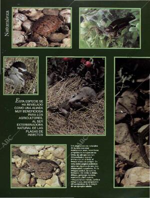 BLANCO Y NEGRO MADRID 26-06-1994 página 58