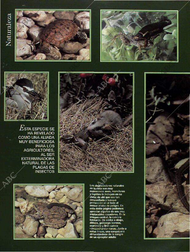 BLANCO Y NEGRO MADRID 26-06-1994 página 58