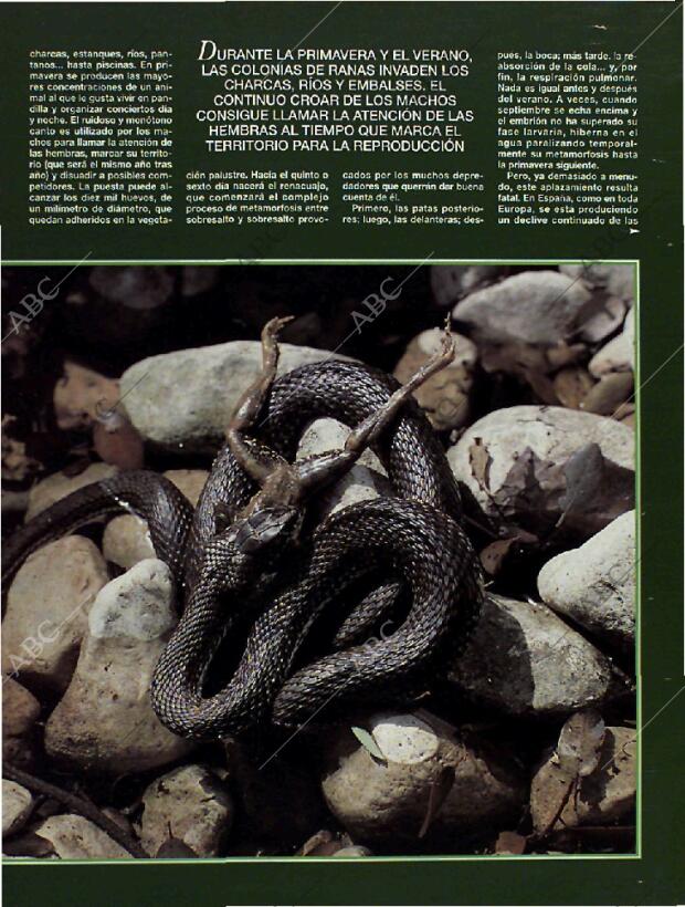 BLANCO Y NEGRO MADRID 26-06-1994 página 59