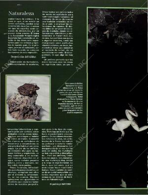 BLANCO Y NEGRO MADRID 26-06-1994 página 60