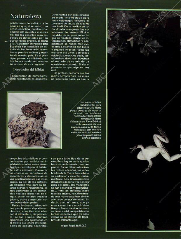 BLANCO Y NEGRO MADRID 26-06-1994 página 60