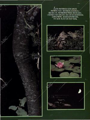 BLANCO Y NEGRO MADRID 26-06-1994 página 61