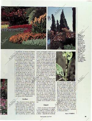 BLANCO Y NEGRO MADRID 10-07-1994 página 85