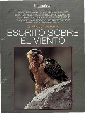 BLANCO Y NEGRO MADRID 14-08-1994 página 45