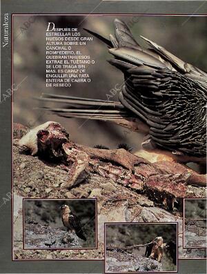 BLANCO Y NEGRO MADRID 14-08-1994 página 46