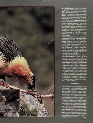 BLANCO Y NEGRO MADRID 14-08-1994 página 47