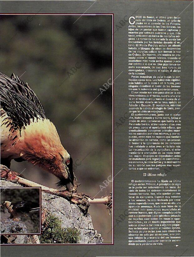 BLANCO Y NEGRO MADRID 14-08-1994 página 47