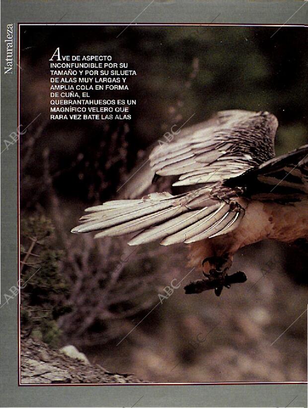 BLANCO Y NEGRO MADRID 14-08-1994 página 48