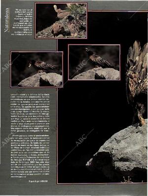 BLANCO Y NEGRO MADRID 14-08-1994 página 50