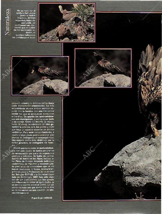 BLANCO Y NEGRO MADRID 14-08-1994 página 50