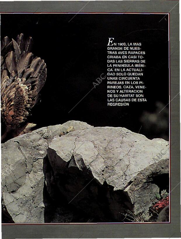 BLANCO Y NEGRO MADRID 14-08-1994 página 51