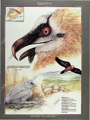 BLANCO Y NEGRO MADRID 14-08-1994 página 52