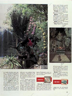 BLANCO Y NEGRO MADRID 14-08-1994 página 61