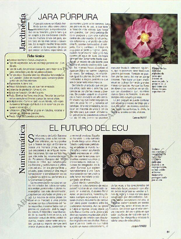 BLANCO Y NEGRO MADRID 14-08-1994 página 81