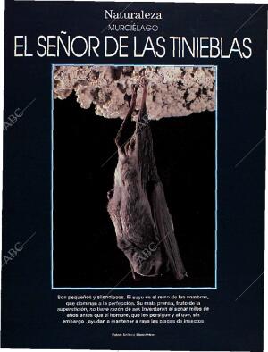 BLANCO Y NEGRO MADRID 28-08-1994 página 43