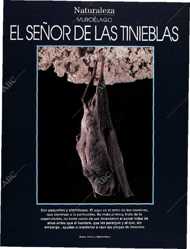 BLANCO Y NEGRO MADRID 28-08-1994 página 43