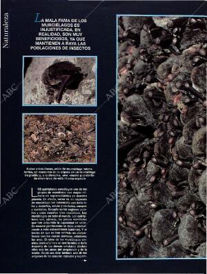 BLANCO Y NEGRO MADRID 28-08-1994 página 44