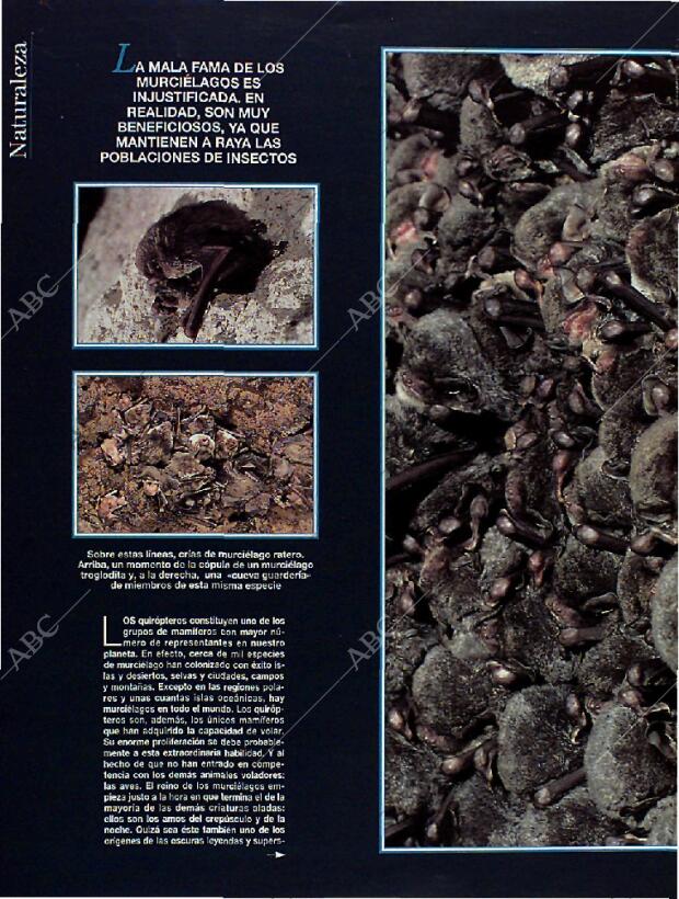 BLANCO Y NEGRO MADRID 28-08-1994 página 44