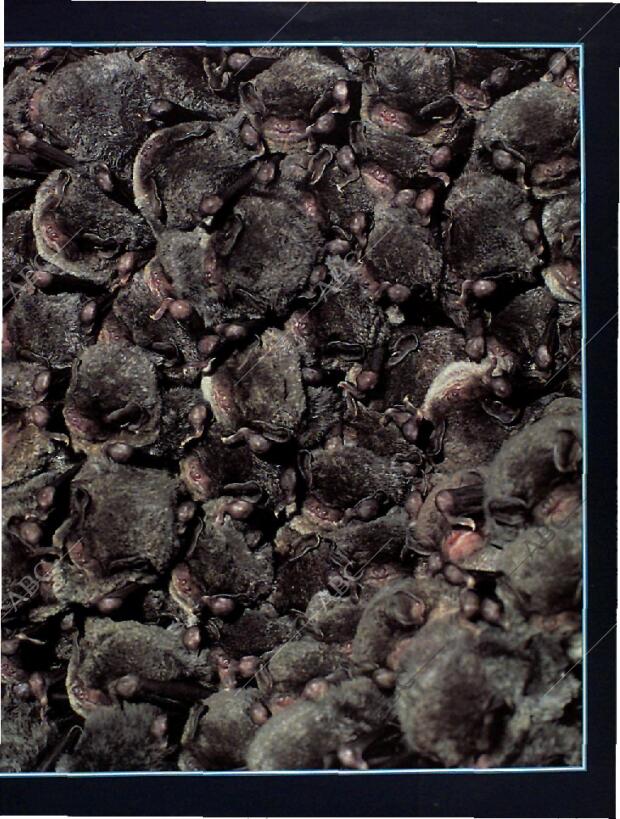 BLANCO Y NEGRO MADRID 28-08-1994 página 45