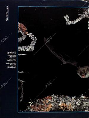 BLANCO Y NEGRO MADRID 28-08-1994 página 46