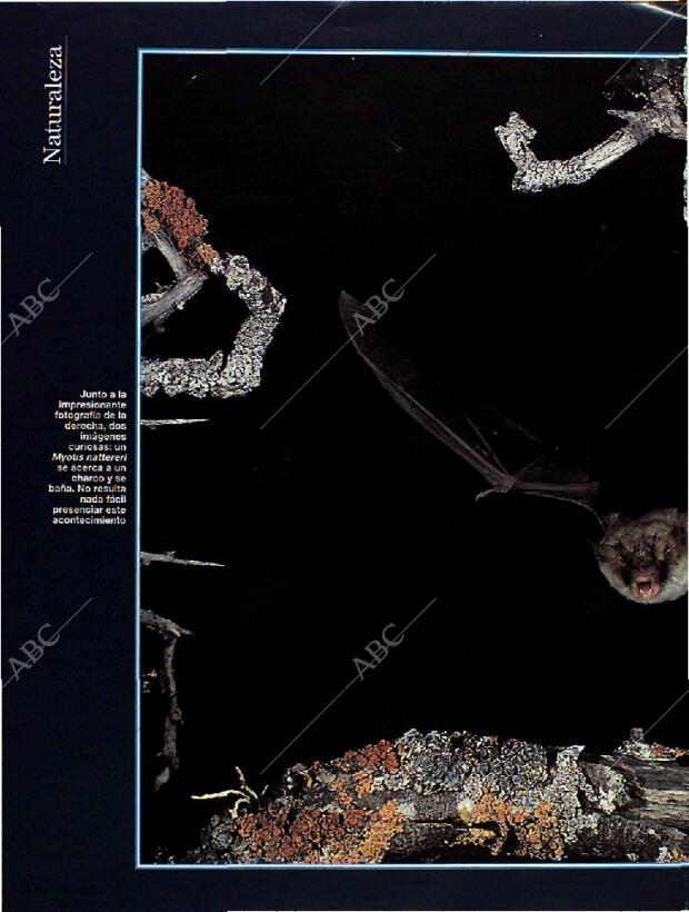 BLANCO Y NEGRO MADRID 28-08-1994 página 46