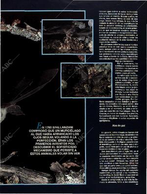 BLANCO Y NEGRO MADRID 28-08-1994 página 47